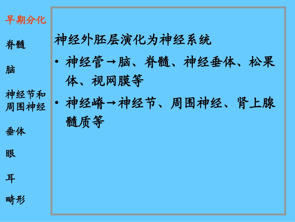 脑神经系统-神经系统和眼耳的发生_第2页