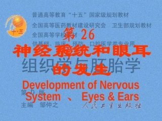 脑神经系统-神经系统和眼耳的发生