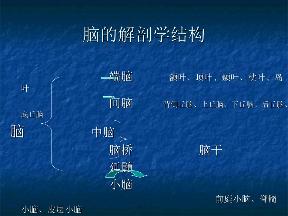 脑外伤的康复治疗_第3页