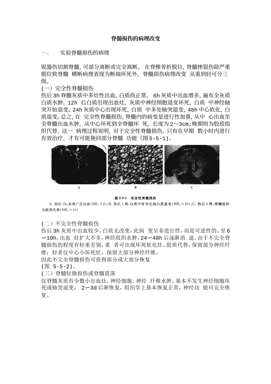 脊髓损伤的病理改变_第1页