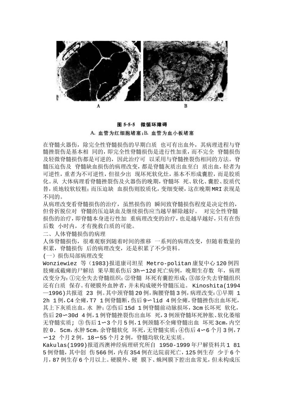 脊髓损伤的病理改变_第3页