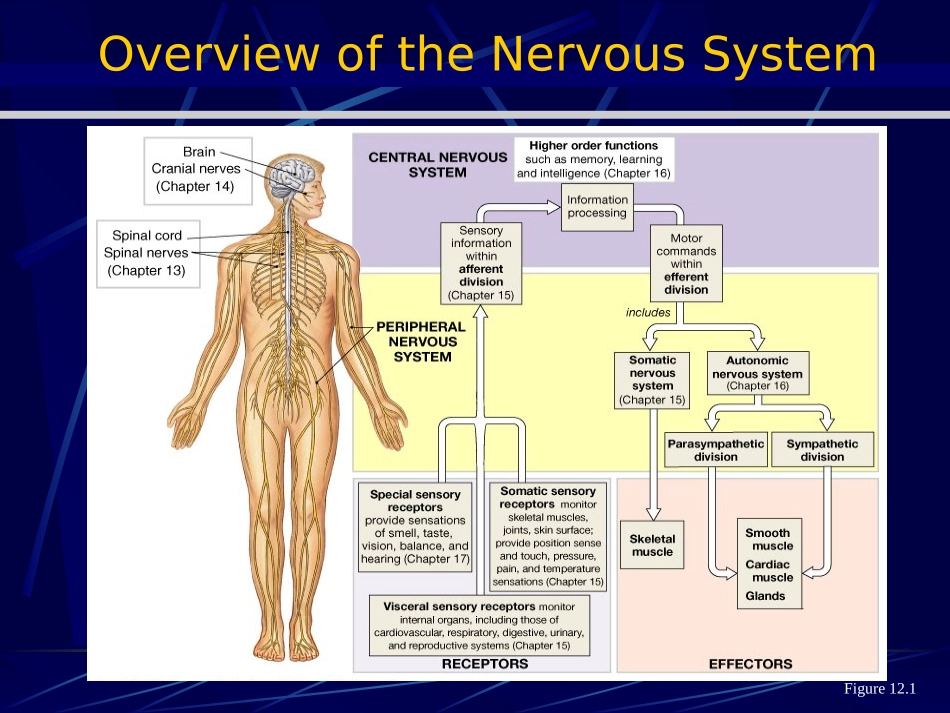 脊髓疾病96_第3页