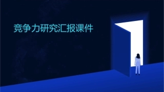 竞争力研究汇报竞争力研究课件