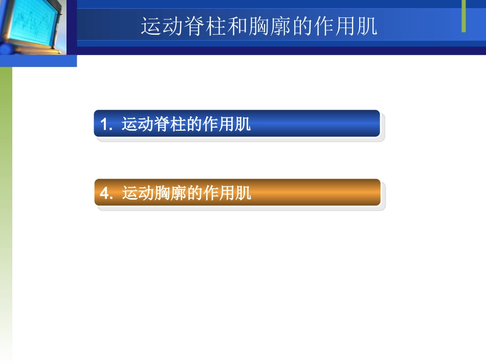 脊柱的作用肌_第1页