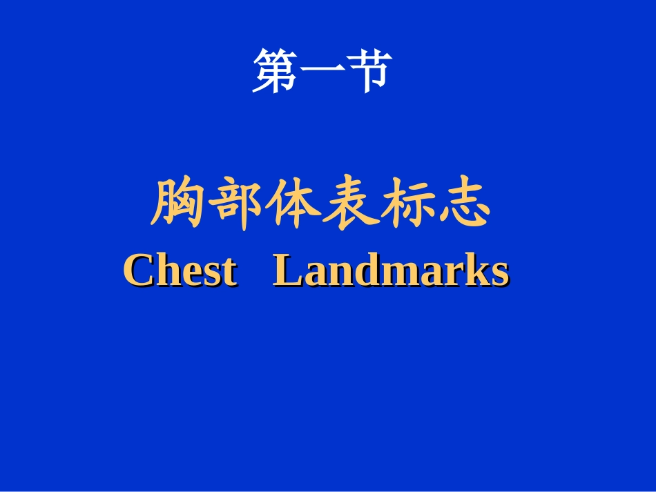 胸部检查—肺3(附件)_第2页