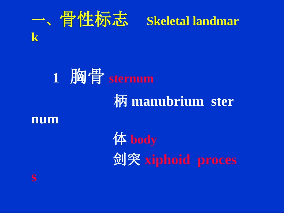 胸部检查—肺3(附件)_第3页
