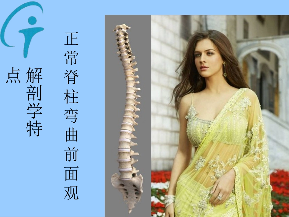 脊柱侧凸分型_第3页