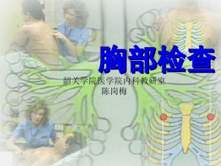 胸部检查—肺2
