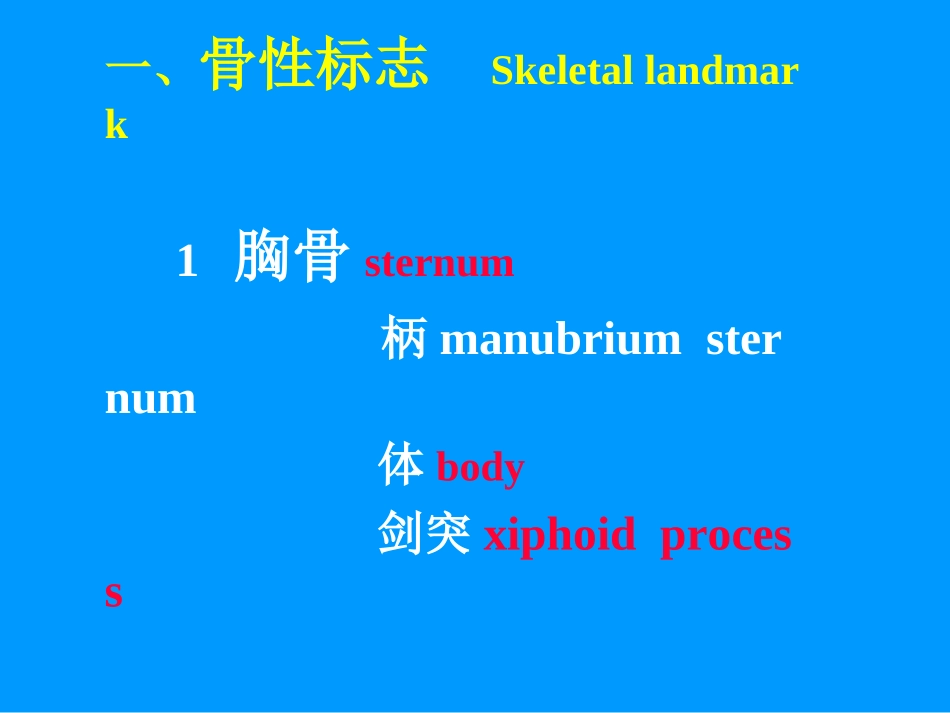 胸部检查—肺2(附件)_第3页