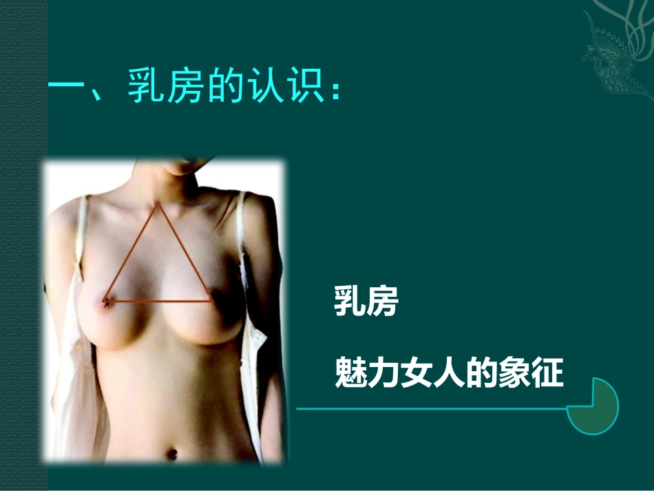 胸部专业知识_第3页