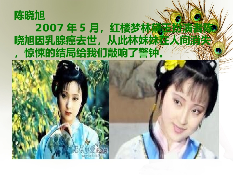 胸部专业知识_第3页