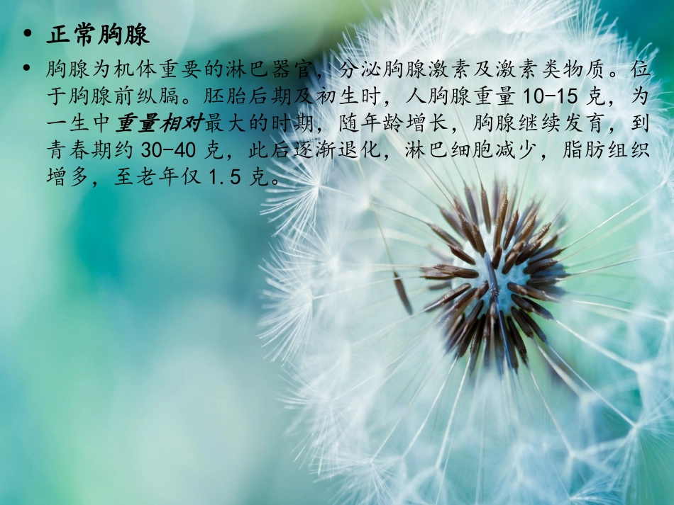 胸腺瘤ppt_第2页