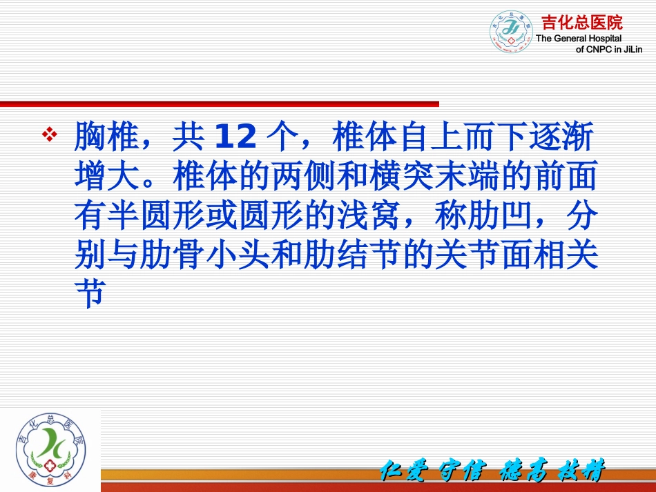 胸椎小关节功能紊乱的诊治-张向远全解_第3页