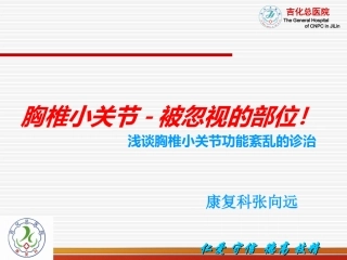 胸椎小关节功能紊乱的诊治-张向远全解