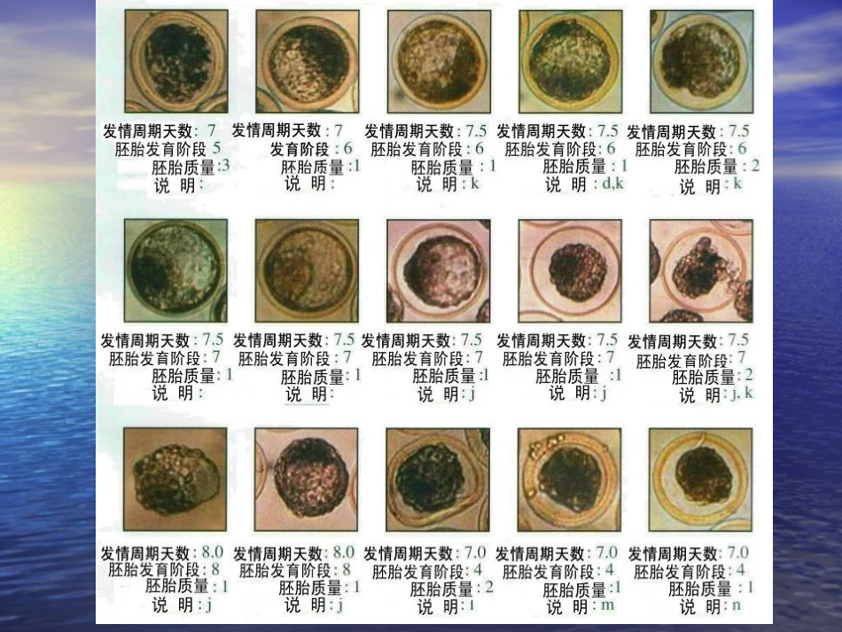 胚胎质量分级评定标准_第3页