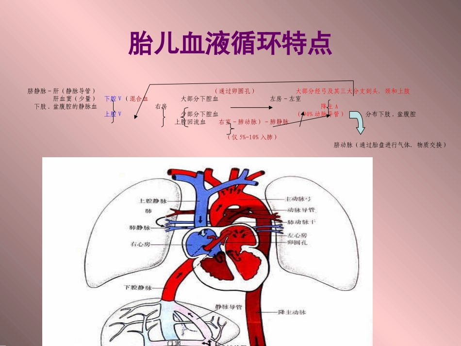 胎儿超声心动图.ppt_第2页
