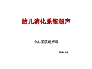 胎儿消化系统超声检查
