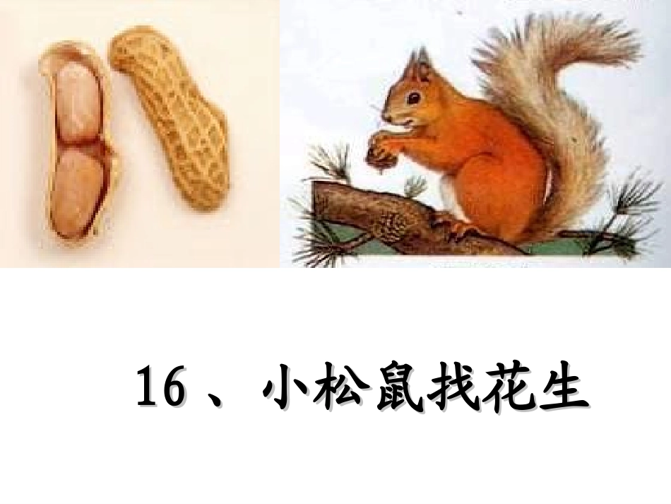 小松鼠找花生 (3)_第3页