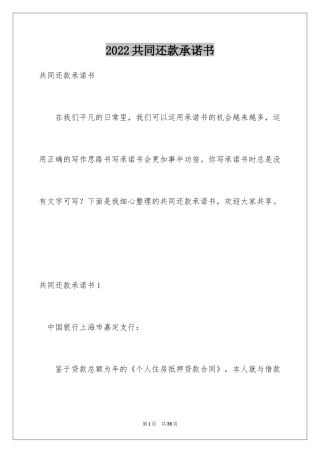 2024共同还款承诺书_3