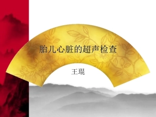 胎儿心脏超声检查王琨