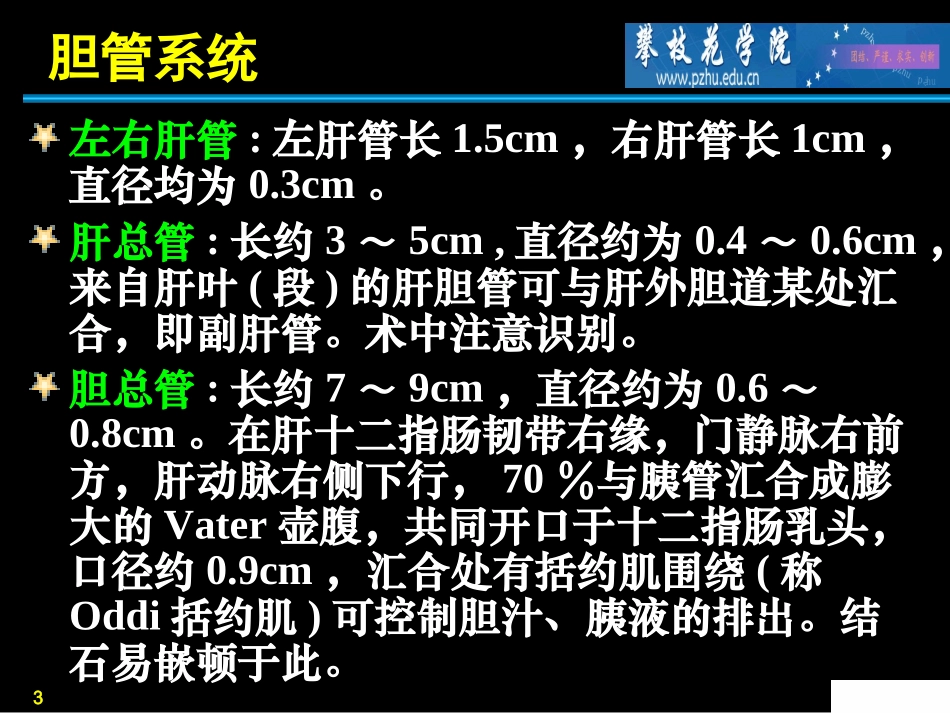 胆道外科护理_第3页