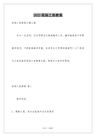 2024孤独之旅教案_5