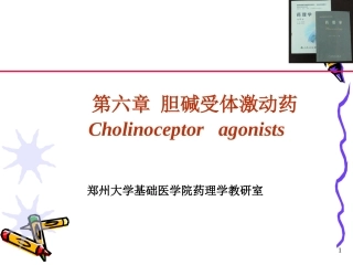 胆碱受体激动、抗胆碱酯酶--2010--zhangyan