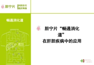 胆宁片专题-(畅通消化道科内会2008)_new style