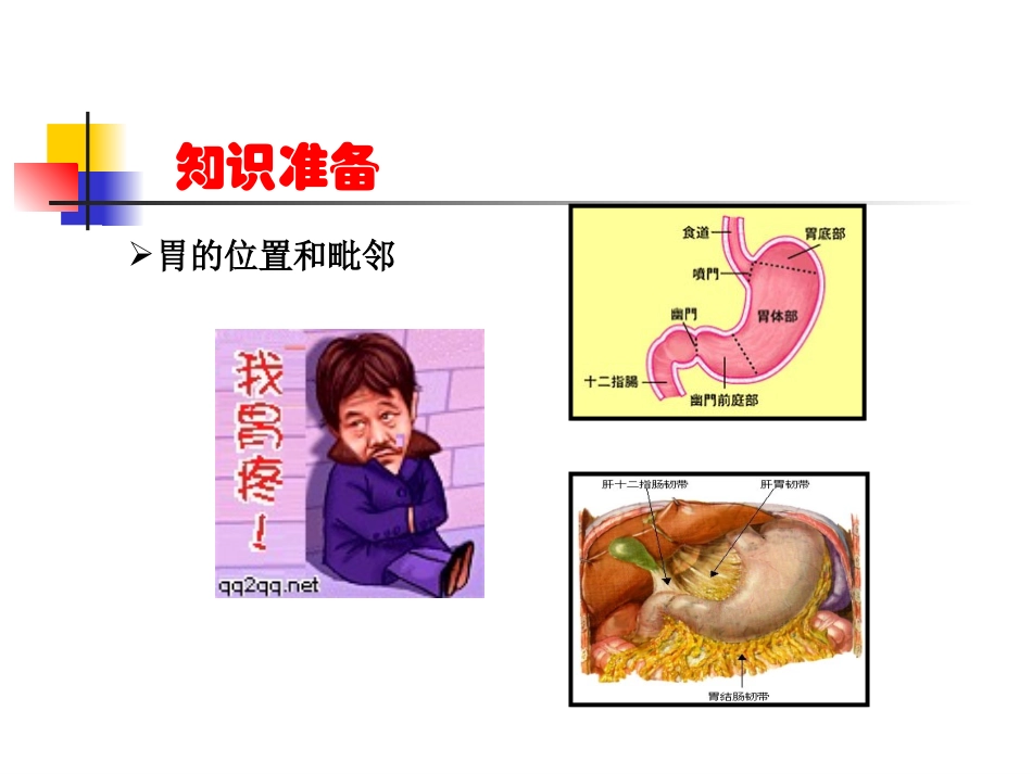 胃肠外科常见手术术式_第3页
