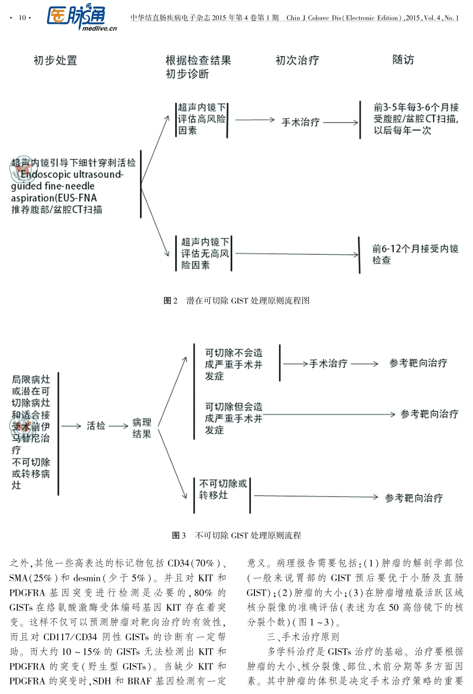 胃肠道间质瘤诊治指南解读_第3页