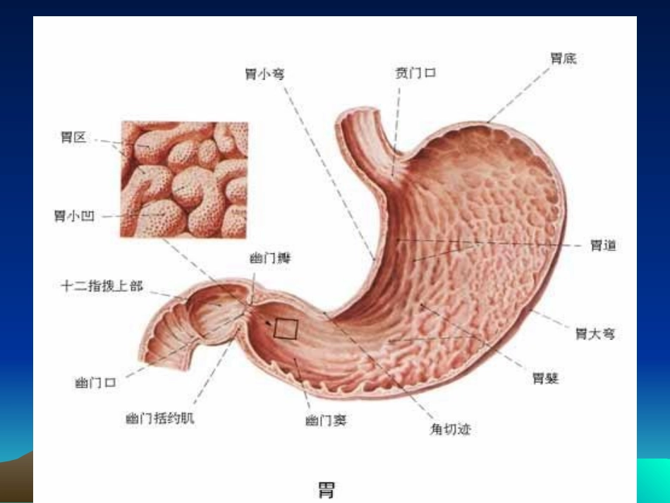 胃穿孔的诊治思路_第2页