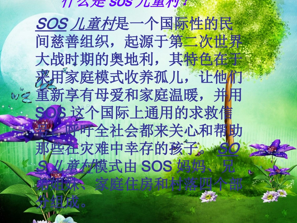 国际慈善组织_第3页