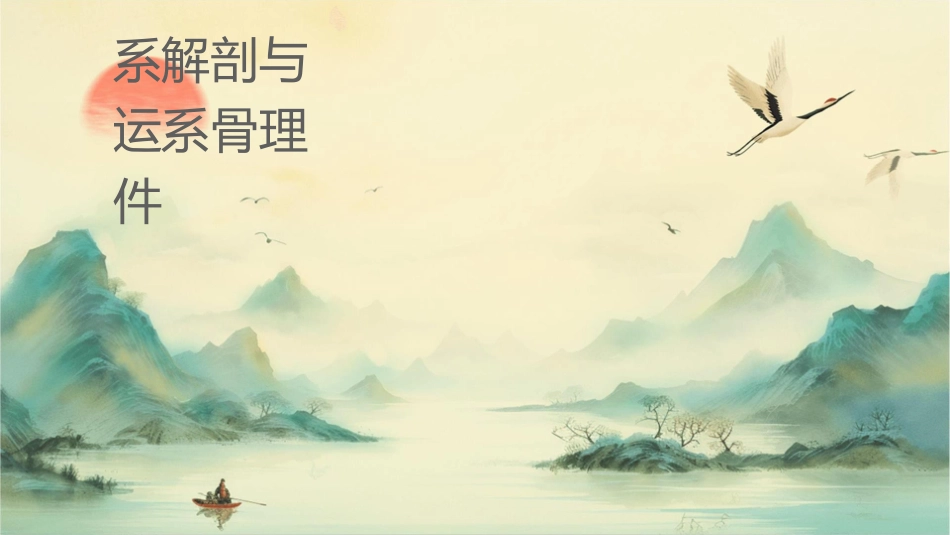 系统解剖与组织胚胎学 运动系统骨连结护理课件_第1页