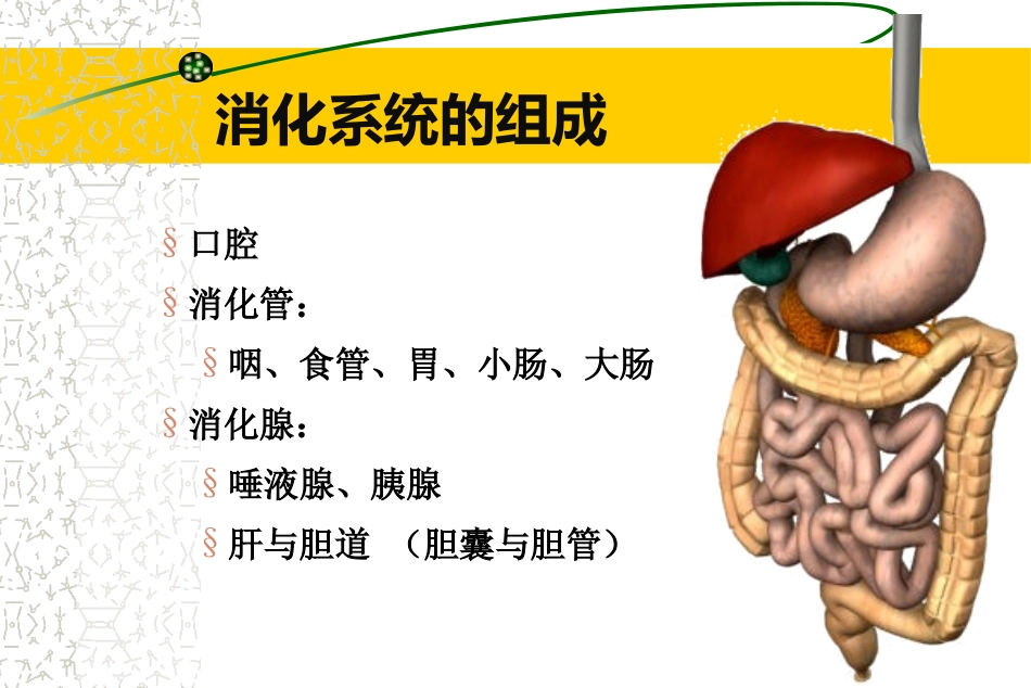 胃炎、胃溃疡_第2页