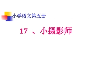 小学三年级上册语文第三课小摄影师PPT课件2