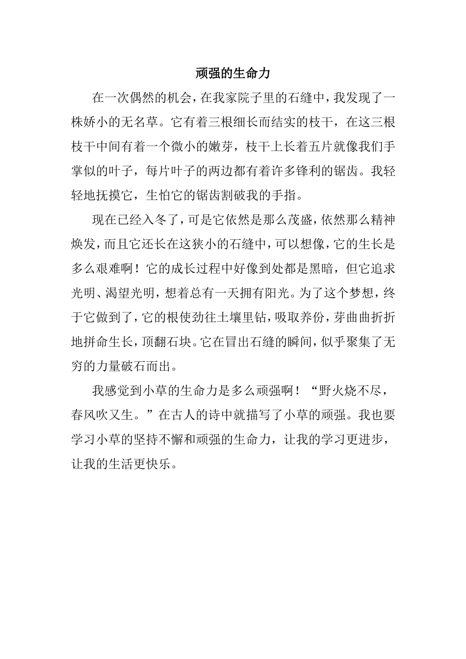 顽强的生命力_第1页