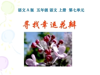 《寻找幸运花瓣》课件
