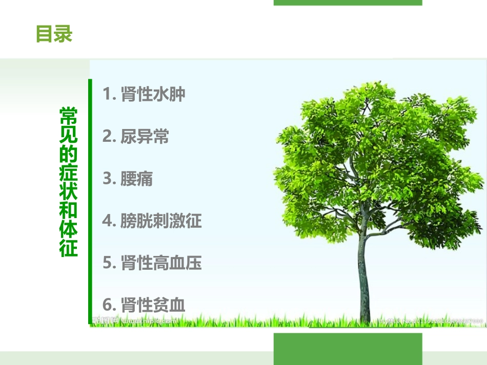 肾脏病常见的症状体征及护理措施_第2页