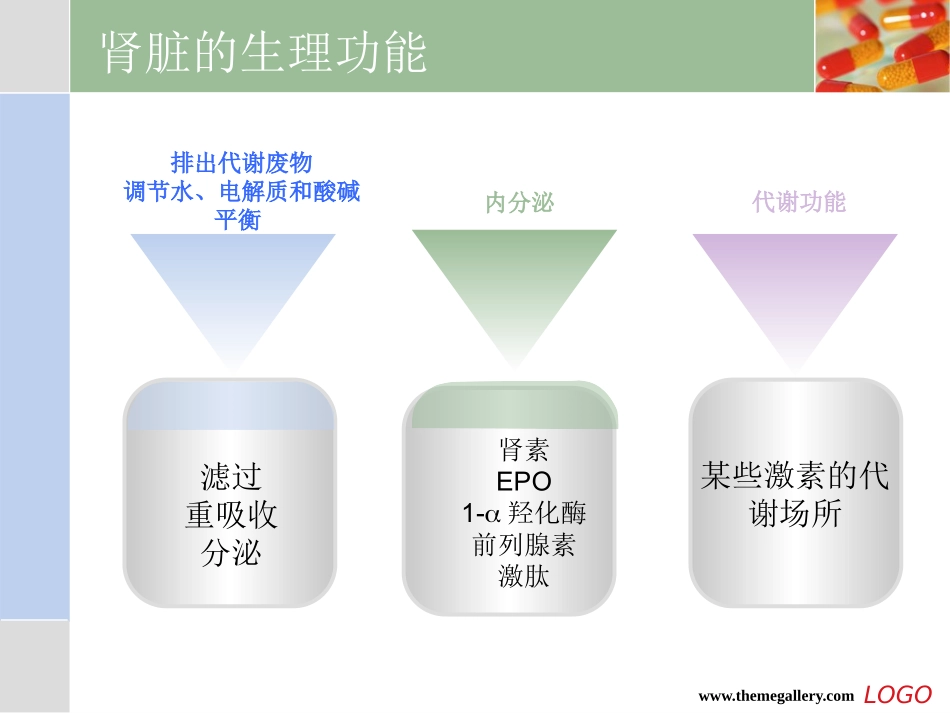 肾脏疾病常见症状及诊断_第3页