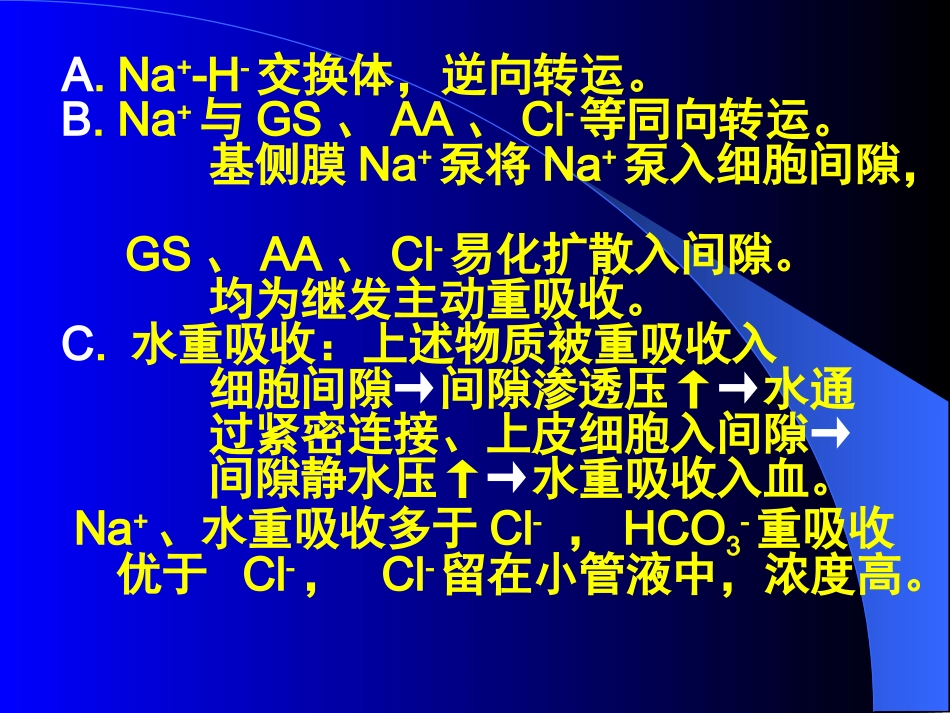 肾小管和集合管的功能_第3页