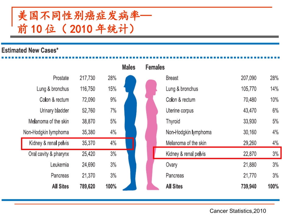 肾癌内科治疗_第2页