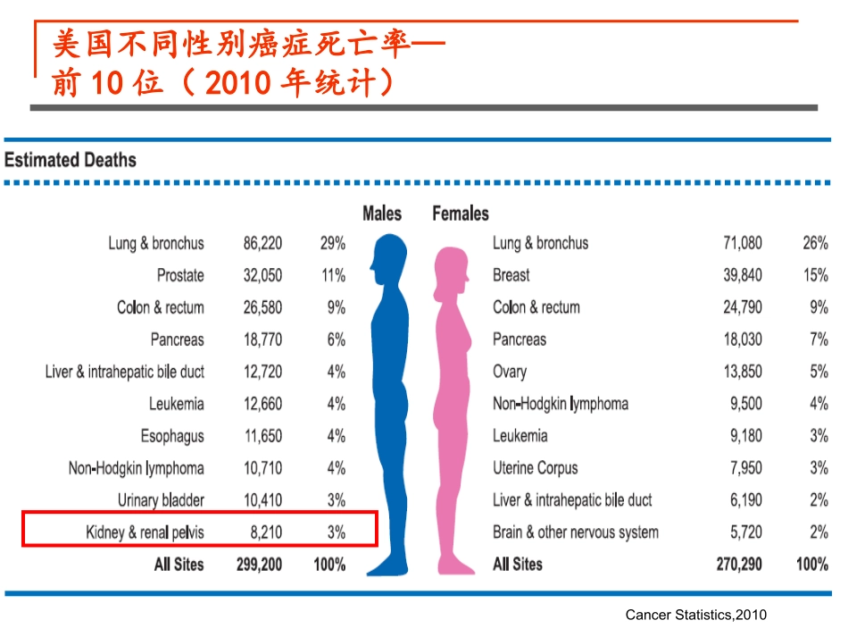 肾癌内科治疗_第3页