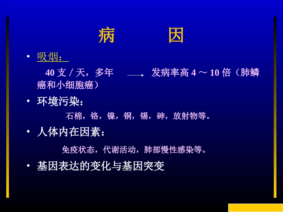 肺癌课件[1]_第3页