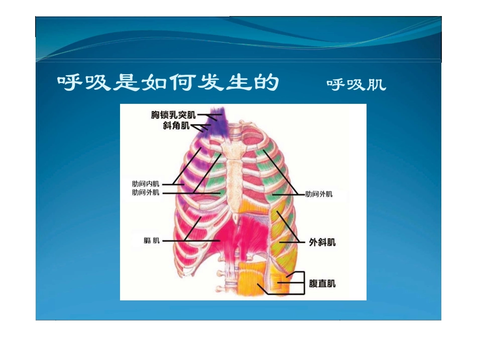 肺功能评定与训练pdf_第3页