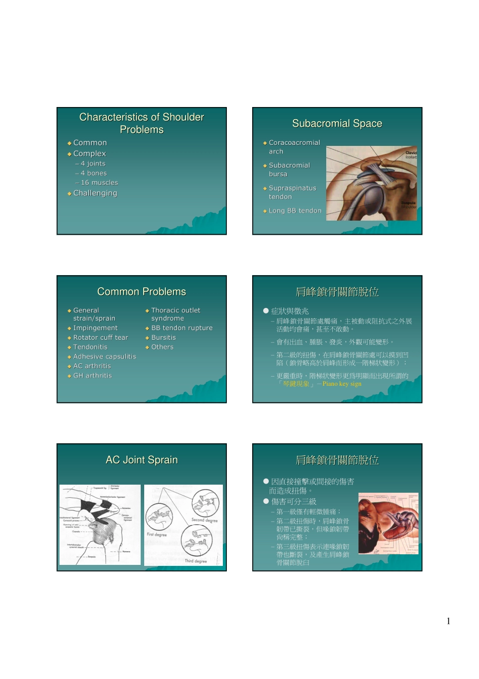 肩峰锁骨关节脱位_第1页