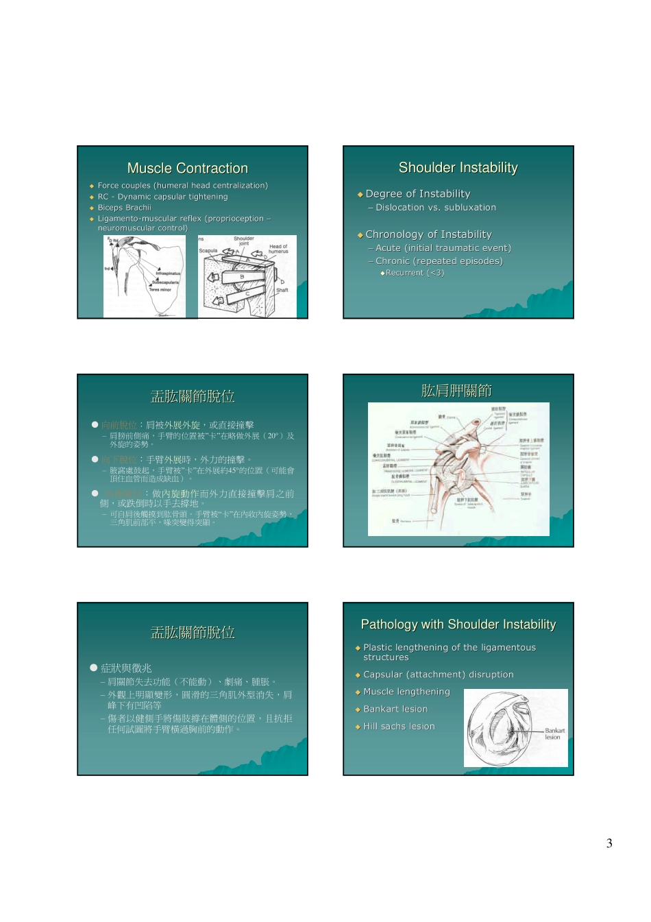 肩峰锁骨关节脱位_第3页