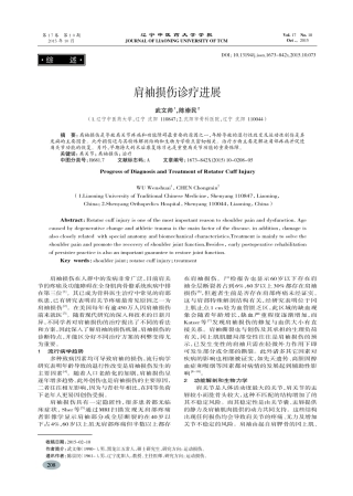 肩袖损伤诊疗进展-武文帅