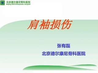 肩袖损伤-张有磊