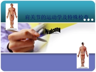 肩区运动学lmy