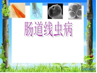 肠道线虫病 ppt